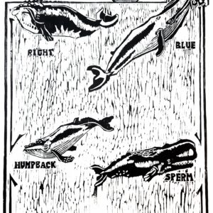 WHALE BOAT